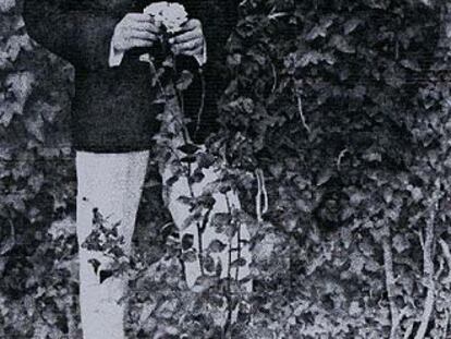 Juan Ramón Jiménez en una fotografía que envío a su novia Luisa Grimm en el interior de un ejemplar de 'Rimas', su libro de 1902.