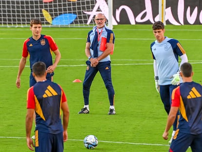 Luis de la Fuente, durante el entrenamiento de España.