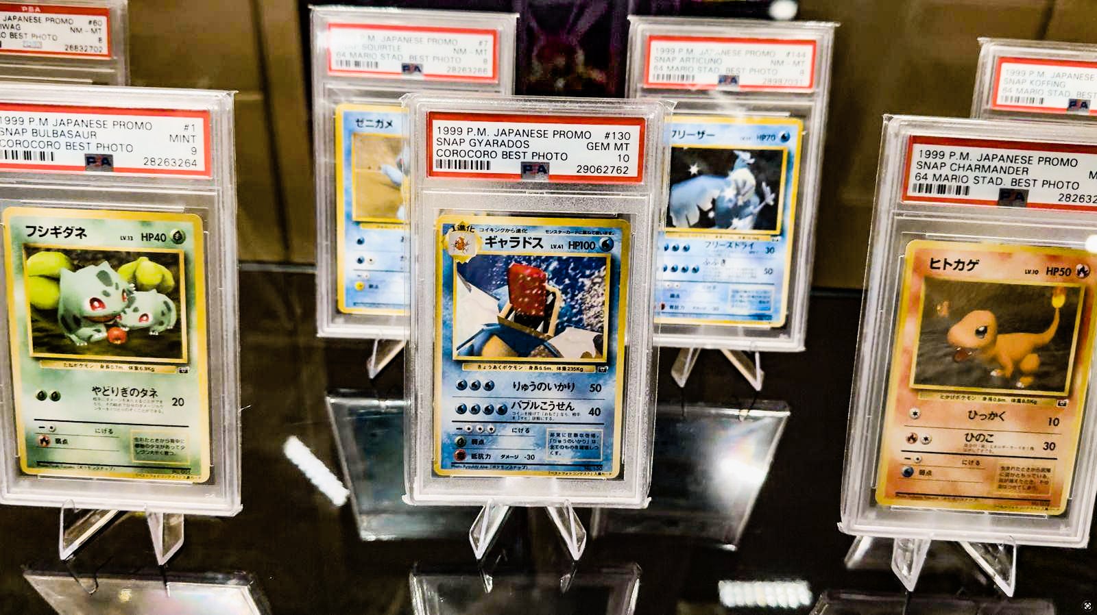 Parte de la colección de cartas Pokémon de Jolina Gisèle, 12.000 de ellas calificadas profesionalmente.