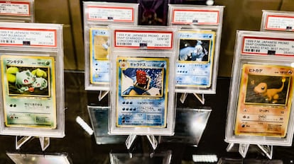 Coleccion princesa Pokemon