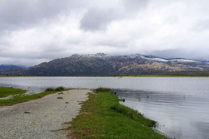 Embalse de Santillana, en Manzanares el Real (Comunidad de Madrid), en abril de 2024.