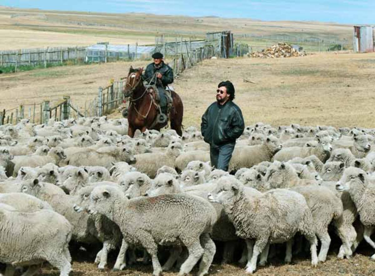 El escritor chileno Luis Sepúlveda Cultura EL PAÍS