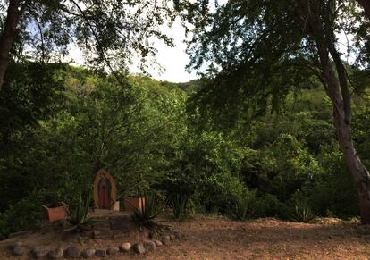 Un altar con la virgen de Guadalupe en un camino de La Noria.