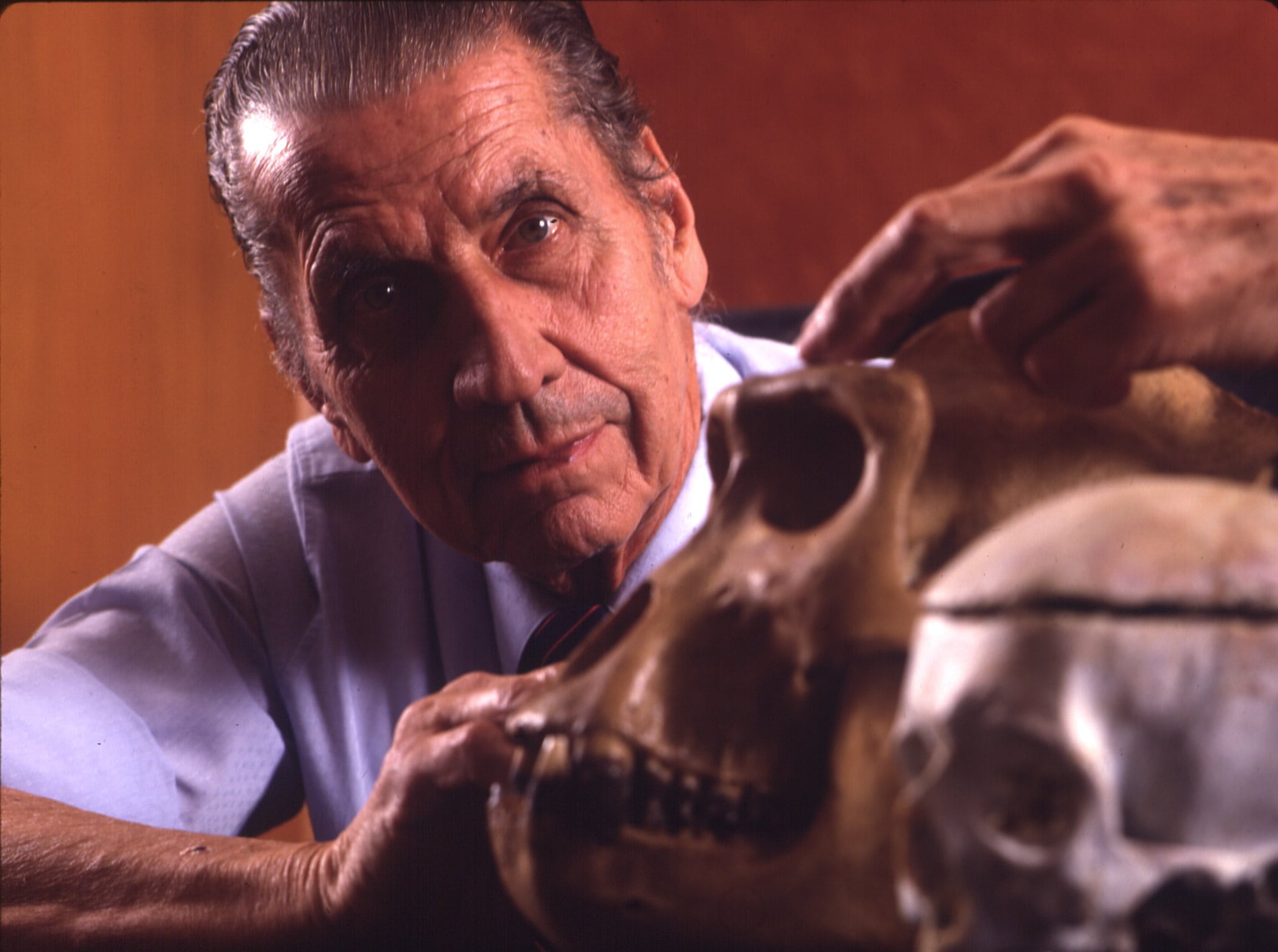 José Manuel Rodríguez Delgado, director del Centro de Estudios Neurobiológicos de Madrid, el 5 de mayo de 1989. 