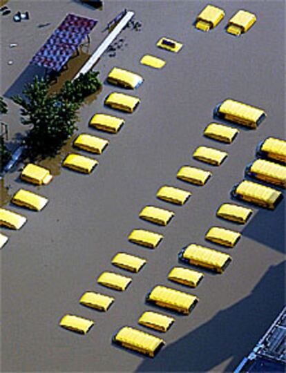 Los vehículos de la central de correos de Dresde, sumergidos en las aguas.