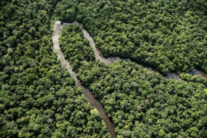 O ramo ocidental do Rio Uaçá serpenteia através da selva, ao oeste do Parque Nacional do Cabo Orange, no Brasil.