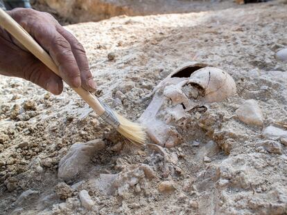 Los huesos hallados en la fosa 548 en el cementerio de San Eufrasio de Jaén.