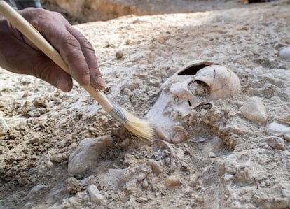 Los huesos hallados en la fosa 548 en el cementerio de San Eufrasio de Jaén.