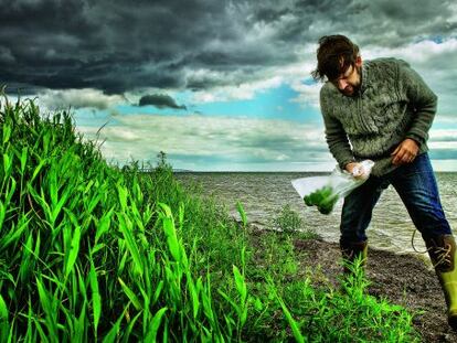 O chef René Redzepi colhe temperos na Dinamarca.