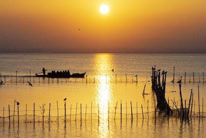 Atardecer en la laguna de la Albufera.