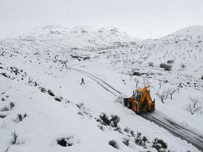 Un quitanieves despeja la carretera que conduce a la localidad almeriense de Chirivel, donde se desplomó la marquesina.