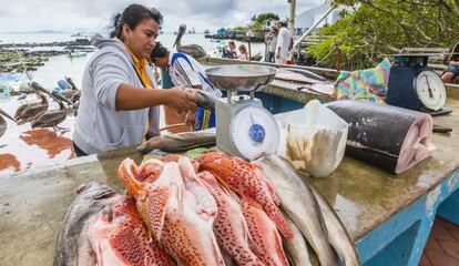 Venta de pescado en Puerto Ayora, en Gal&aacute;pagos. 
