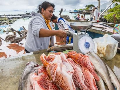 Venta de pescado en Puerto Ayora, en Galápagos.