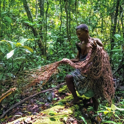 Un cazador de la minoría bayaka recoge sus redes en República Centroafricana, en 2016. Una investigación desarrollada por Survival International ha desvelado cómo grandes ONG de conservación de la naturaleza están financiando abusos y expulsiones de pigmeos bakas y bayakas y otras tribus de la selva en la República del Congo, República Centroafricana y Camerún.