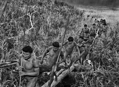 Um grupo de korubos sai para caçar na margem esquerda do rio Ituí. Na mão, levam porretes de madeira usados para atingir as presas.