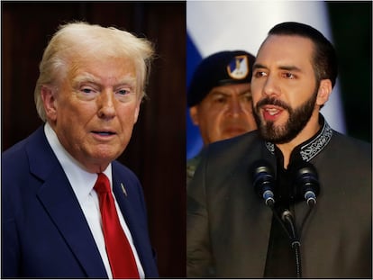 Donald Trump y Nayib Bukele.