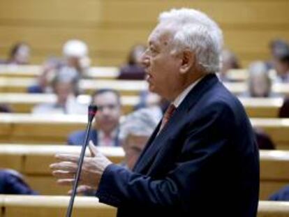 El ministro de Asuntos Exteriores, José Manuel García-Margallo, durante su intervención en la sesión de control al Gobierno en el pleno del Senado.