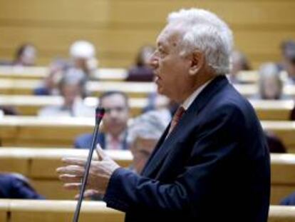 El ministro de Asuntos Exteriores, José Manuel García-Margallo, durante su intervención en la sesión de control al Gobierno en el pleno del Senado.