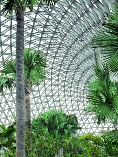 Jardín Botánico de Chenshan, en Shanghái (China), del estudio alemán Auer+Weber+Assoziierte. Arquitectura paisajística en la que un círculo a modo de anilla acoge las diferentes áreas del jardín.