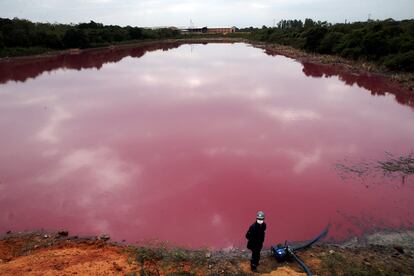 Un trabajador extrae agua para análisis de la laguna Cerro, que es rosada y huele mal debido a desechos sin tratar supuestamente vertidos por la empresa de curtiduría Waltrading SA, en Limpio, Paraguay. El Ministerio de Medio Ambiente propuso el cierre de la fábrica por la presencia de metales pesados como el cromo, comúnmente utilizado en el proceso de la curtiduría. 2 de septiembre de 2020.