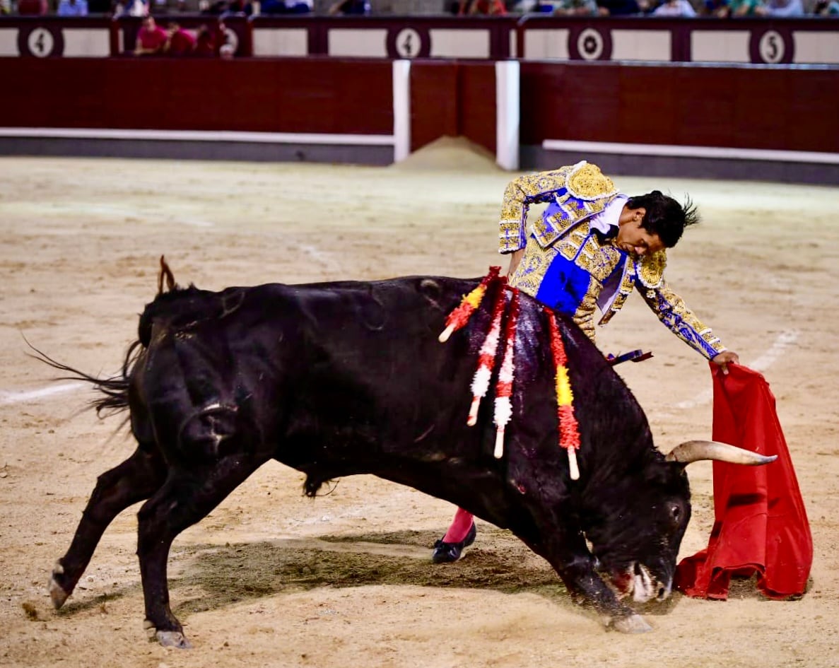 Bruno Aloi gana... Pedro Luis hace el toreo