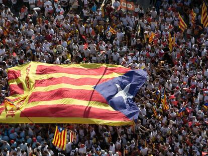 Una bandera estelada a la manifestació del 2015