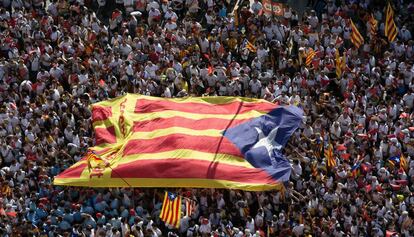 Una bandera estelada a la manifestació del 2015