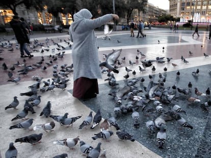 Una mujer alimenta palomas en la plaza Catalu&ntilde;a de Barcelona