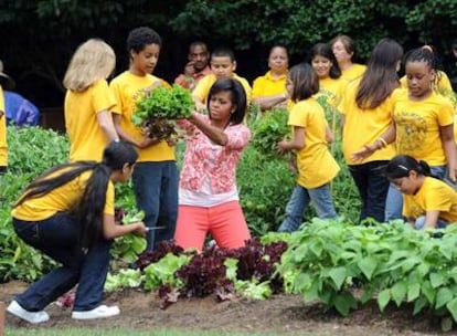 Michelle Obama, con los estudiantes, recogiendo lechugas en el huerto de la Casa Blanca.