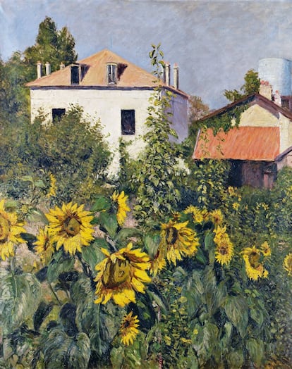 'Girasoles, jardín de petites Genevilliers', una obra de Caillebotte de 1885.