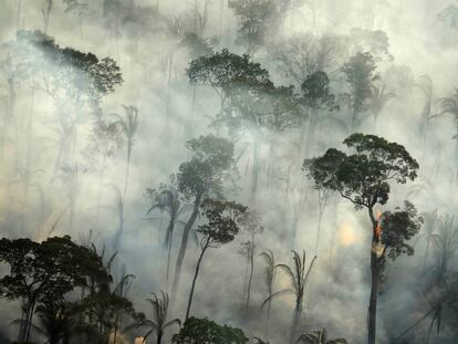 La huella de los incendios en la Amazonia