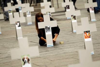 Acto de la asociación Igualdad Animal por los animales que mueren a diario en el mundo en la Plaza de Callao.