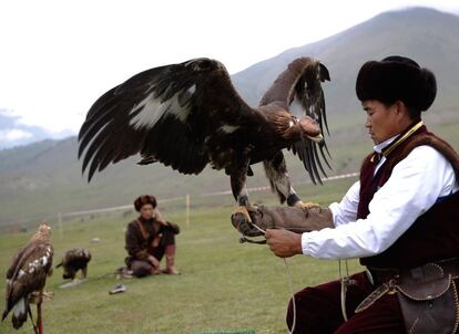 Participante en los 'World Nomad Games' prepara un águila cazador para competir en una prueba en Cholpon-Ata (Kirguistán). 