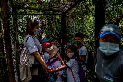 Los niños de la Victoria School visitan el Bioparque La Reserva, en Cota, Cundinamarca, a finales de febrero.