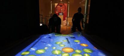 Dos hombres ultiman detalles de la exposición Moléculas de Vida en el Museo Nacional de Ciencias.