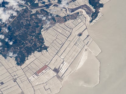Las parcelas blanquecinas vistas desde el satélite no son invernaderos, ni bancos de arena. Son granjas de peces en el mar Amarillo, en la costa china.