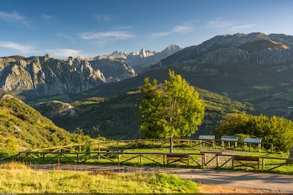 Desde Pedro Udaondo se contempla una de las mejores vistas del mítico Naranjo de Bulnes.