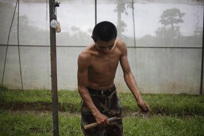 El productor Ignacio Díaz de la comunidad de Los Copales, trabajando en el cultivo de hortalizas en sistemas protegidos. En Las Lomas, Aguas Calientes, Somoto.