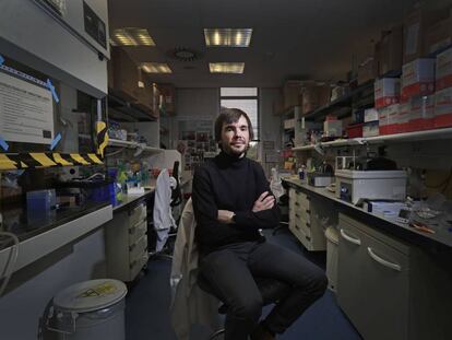 Manuel Valiente, jefe del Grupo de Metástasis Cerebral del Centro  Nacional de Investigaciones Oncológicas.