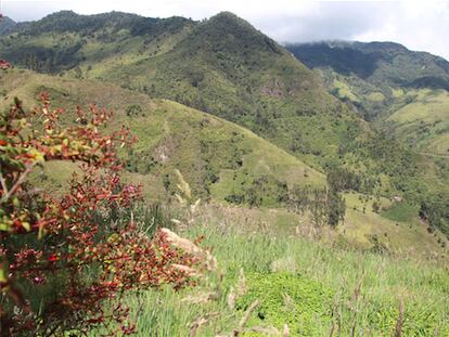 El oro sucio de Tolima