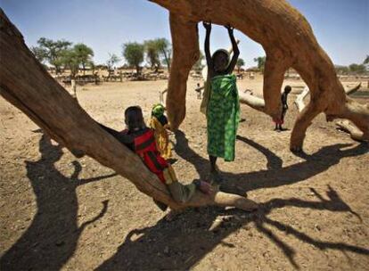Niños sudaneses desplazados por la guerra juegan en un árbol en la frontera entre Chad y Darfur.