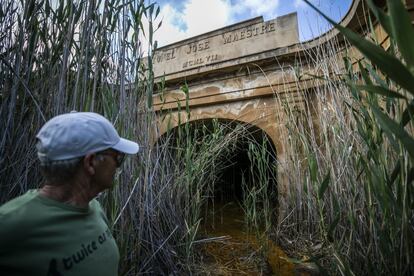 El exminero José García López en la entrada abandonada de un túnel de la explotación Peñarroya ahora abandonado y rodeado de altos juncos.