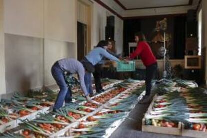 Los agricultores portugueses tiran cada año toneladas de fruta a la basura por razones meramente estéticas, una práctica que combate una cooperativa llamada "Fruta Feia" (Fruta Fea) creada por un grupo de jóvenes en Lisboa.