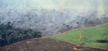 Vista a&eacute;rea de la selva del Amazonas donde se pueden apreciar los efectos de la deforestaci&oacute;n. &nbsp;