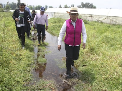 Rosa Icela Rodríguez en una visita a plantíos afectados por la lluvia, en 2016, en Ciudad de México.