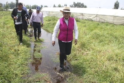 Rosa Icela Rodríguez en una visita a plantíos afectados por la lluvia, en 2016, en Ciudad de México.