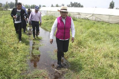 Rosa Icela Rodríguez en una visita a plantíos afectados por la lluvia, en 2016, en Ciudad de México.