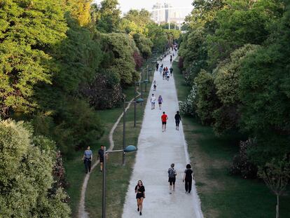 Paseo central del Jardín del Turia, en el antiguo cauce del río, con el puente llamado popularmente La Peineta al fondo.