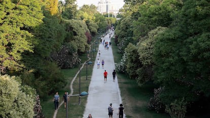 Paseo central del Jardín del Turia, en el antiguo cauce del río, con el puente llamado popularmente La Peineta al fondo.