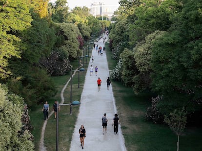 Paseo central del Jardín del Turia, en el antiguo cauce del río, con el puente llamado popularmente La Peineta al fondo.